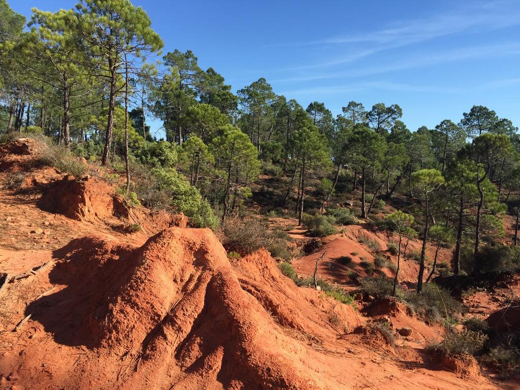 Le Chant Du Coeur Roussillon en Isere Exterior foto
